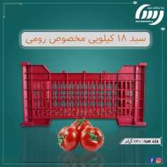 پلاستيکي بسته بندي