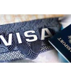 Visa Booking