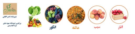 Shir Shah Nasir Afghan business Company