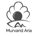 Murvarid Aria Shoes Company